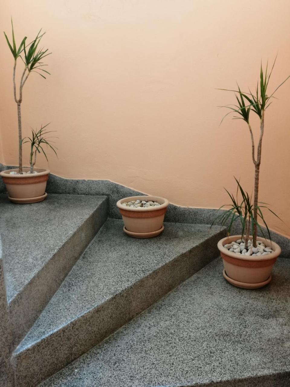 Apartment Singa Zadar Extérieur photo